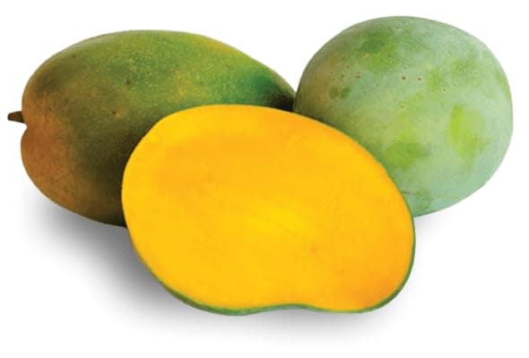 Fresh Mango Tommy Egypt 500g