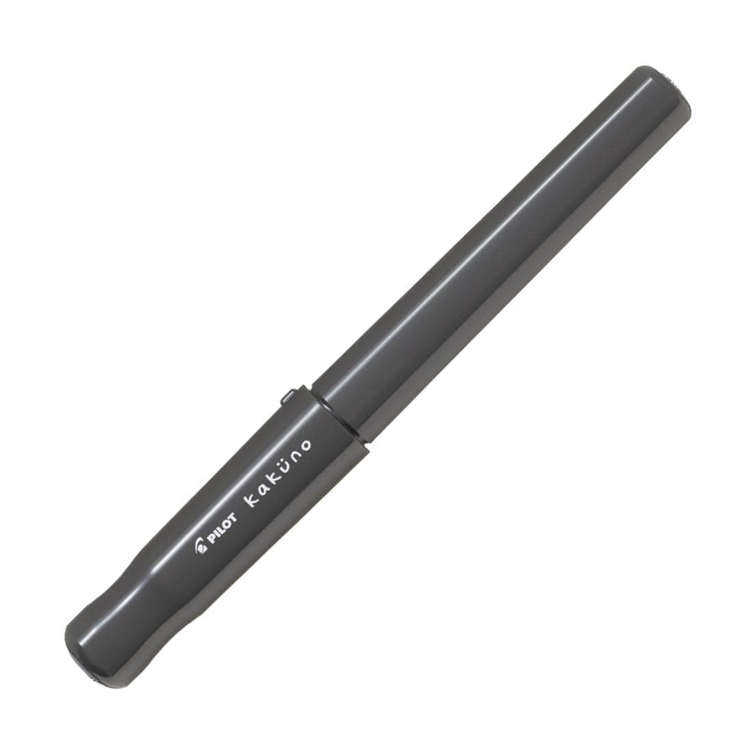 Pilot Kakuno Fountain Pen of Biginners, Fine Nib, Glay Body (FKA-1SR-GYF), Gray