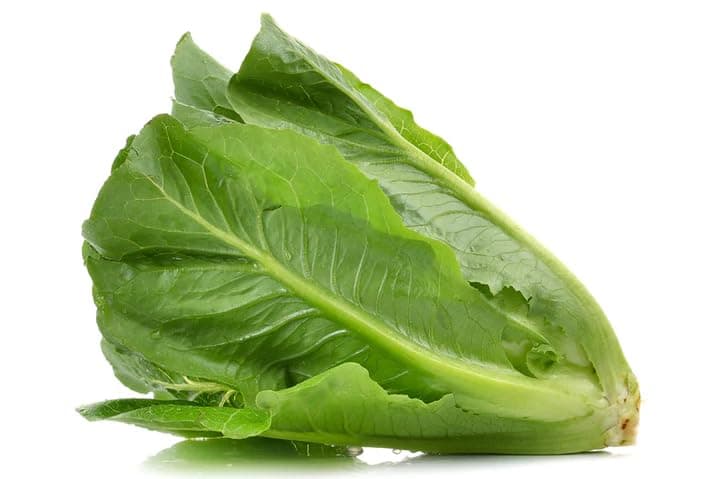 Fresh Green Lettuce Local 500g