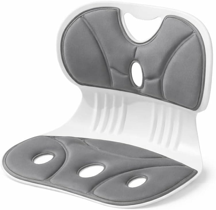 Ergonomic Back and Lumbar Support with Detachable Cover,for Good Posture Correction and Pain Relief,for Offices,Floor Chairs,Car,Reading,Waist Support Cushion