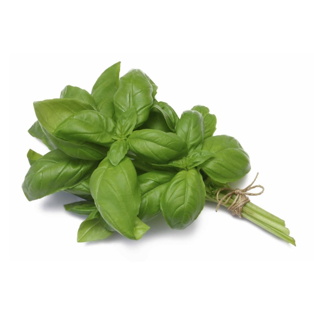 ZOD Basil, SA, 1 Bunch
