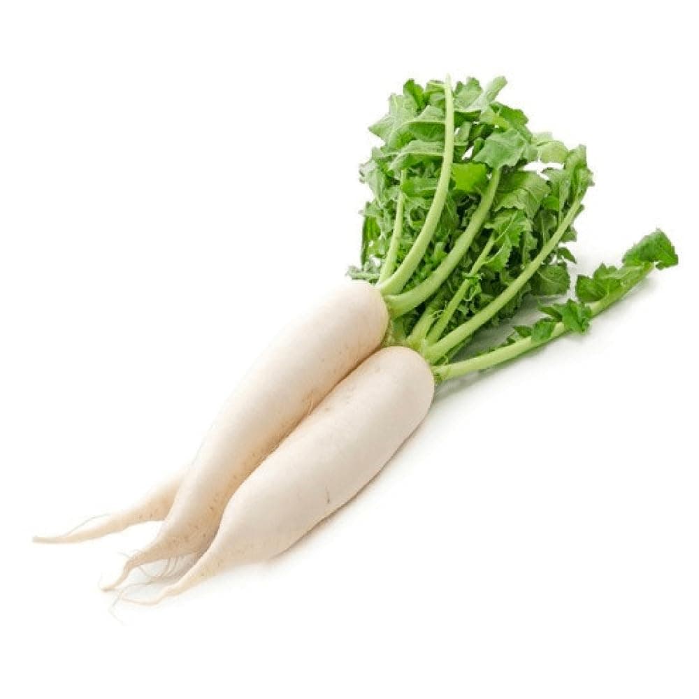 ZOD White Radish, SA, 1 Bunch