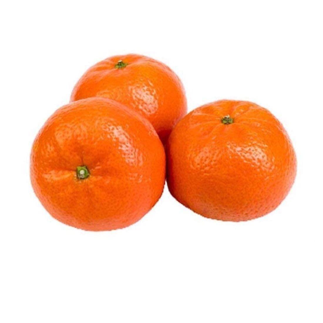 Fresh Mandarin Import 500g