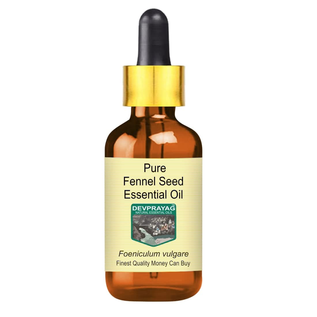 Pure Fennel Seed Essential Oil (Foeniculum vulgare) with Glass Dropper Natural Therapeutic Grade Steam Distilled 10ml (0.33 oz)
