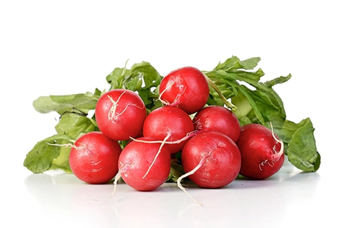 Fresh Red Radish Bunch Local