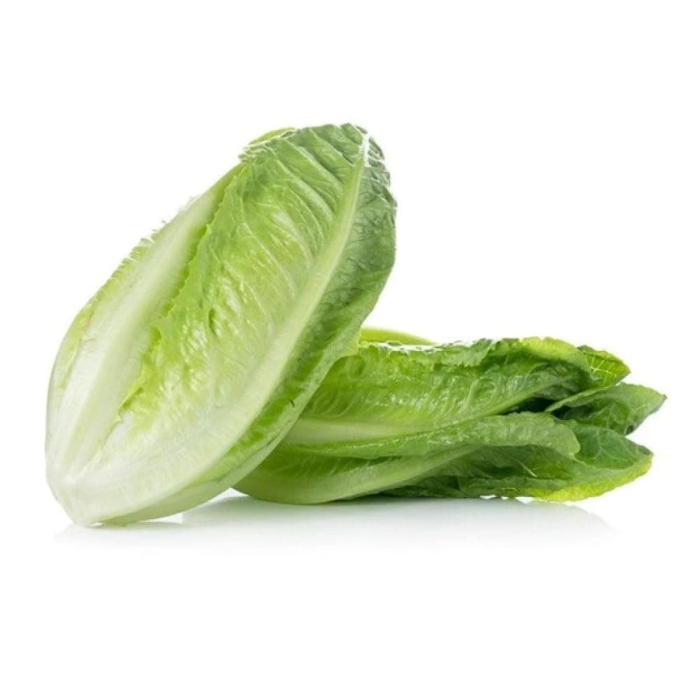 ZOD Lettuce, 1 kg