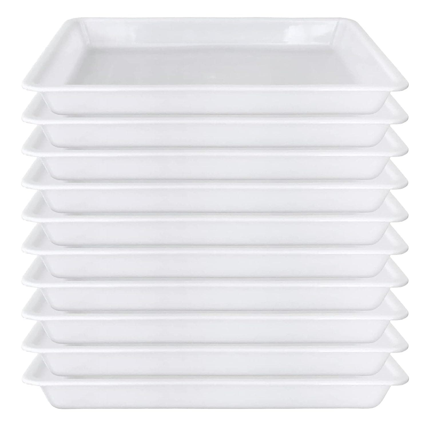 X Spring Paint Palettes Set, 10pcs White Craft Organizer Tray, Activity Plastic Art Serving Tray for School Home Art and Crafts, DIY Projects, Painting, Beads, Organizing Supply