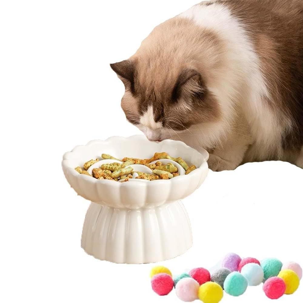 Ceramic Cat Slow Feeder Bowl Raised Design, Anti Fast Eating Pet Food Dish with Elevated Neck Support Whisker Friendly Wide Plate for Cats Small Dogs Dry Wet Food, White, 1 Pcs