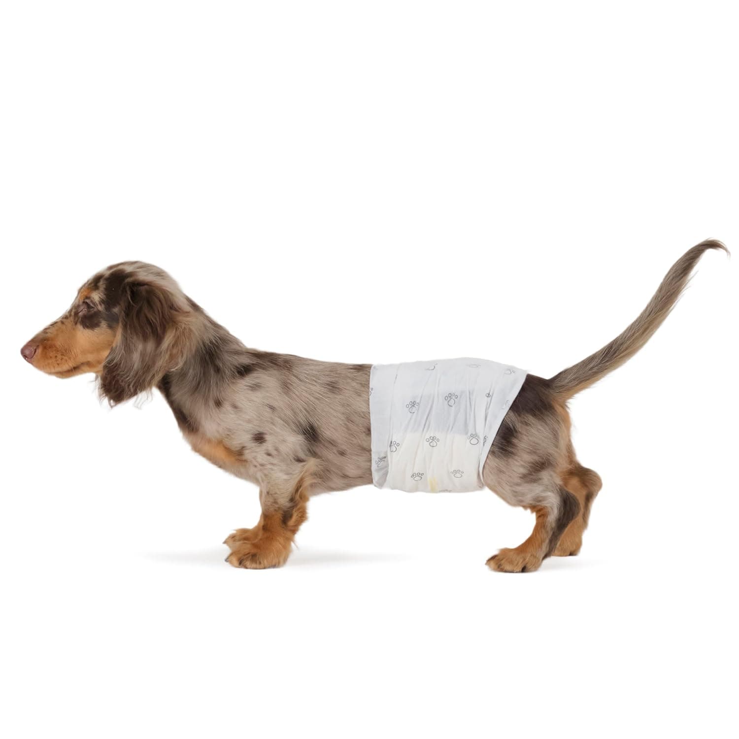 Amazon Basics Male Dog Wrap, Disposable Diapers, Small, Pack of 30, White