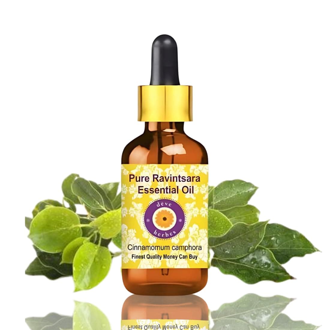 Deve Herbes Pure Ravintsara Essential Oil (Cinnamomum camphora) Steam Distilled With Glass Dropper 10ml (0.33 oz)