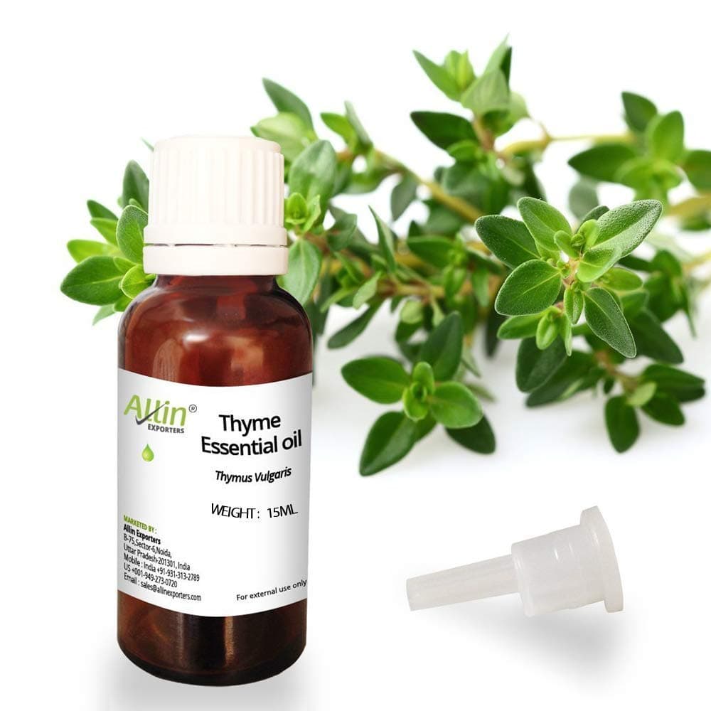Allin Exporters Thyme Essential Oil, 15ml