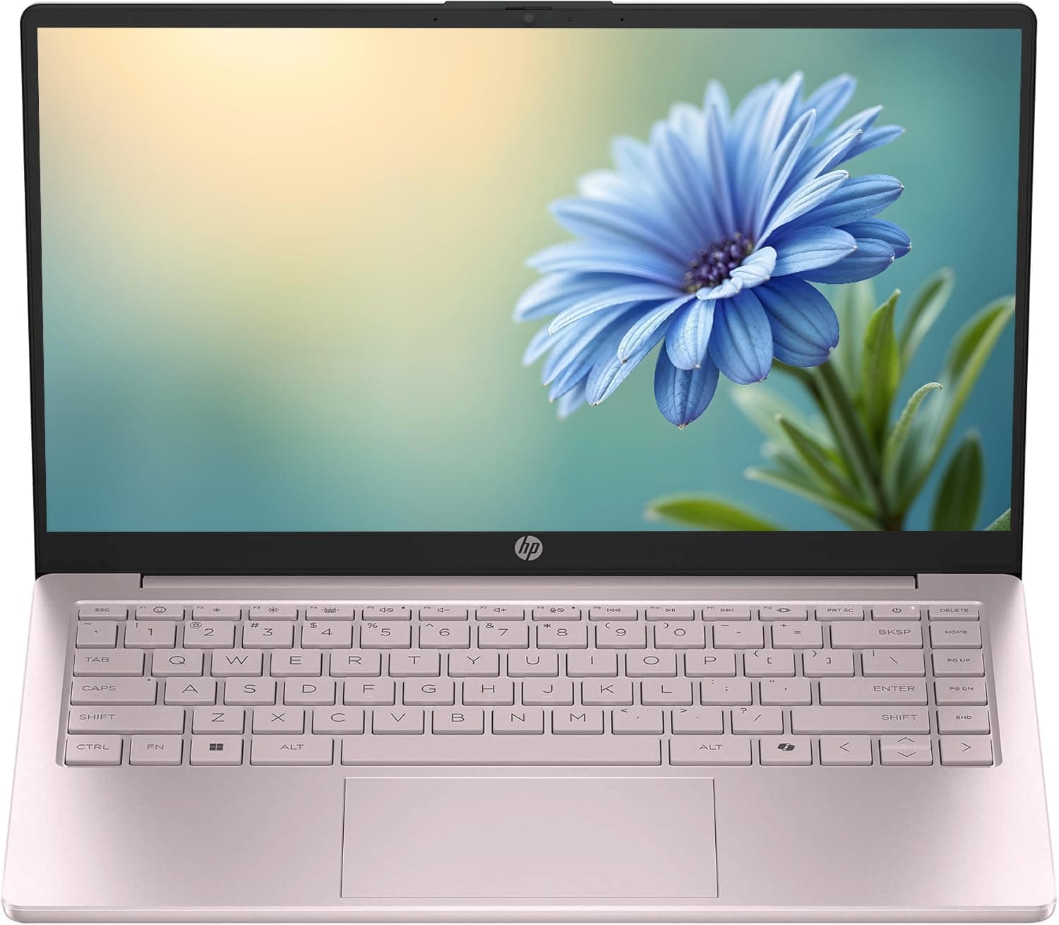 HP Portable 14" HD IPS Laptop, Intel Celeron N Processor Up to 3.59GHz, 4GB DDR4, 128GB SSD, HDMI, Webcam, 1 Year Office 365, Bluetooth, Windows 11, Pastel Pink