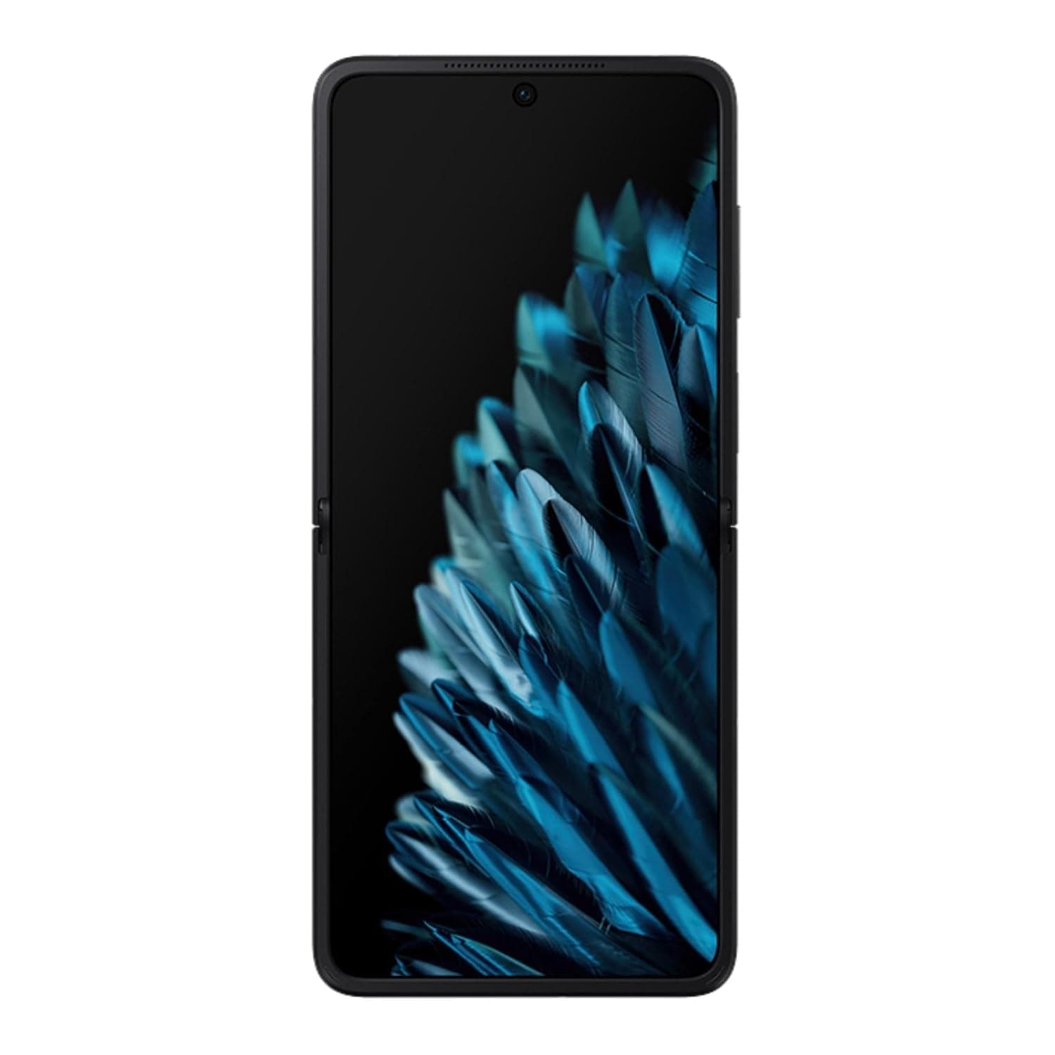 Oppo Find N2 Flip Dual-SIM 256GB ROM + 8GB RAM (GSM only | No CDMA) Factory Unlocked 5G SmartPhone (Astral Black) - International Version
