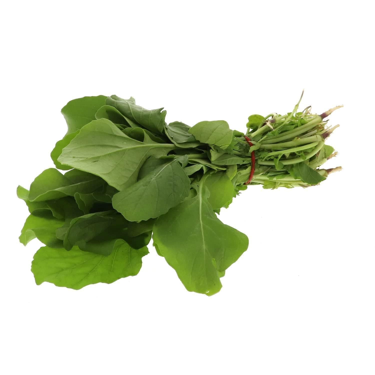 Fresh Jerger Leaves Bunch Local