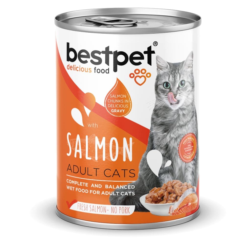 Bestpet Adult Cat Wet Food with Fresh Salmon Chunks and Sauce, 400g