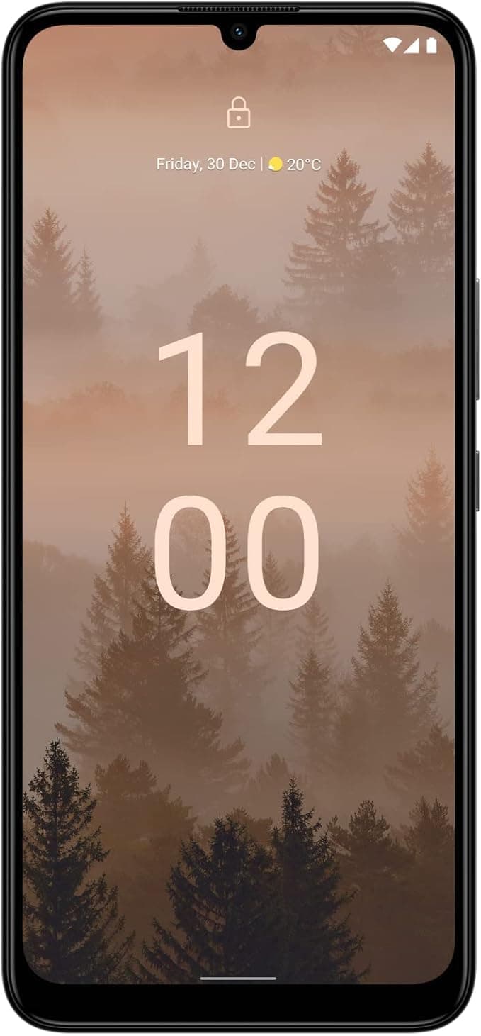Nokia C31 Dual-SIM 128GB ROM + 4GB RAM Factory Unlocked 4G/LTE Smartphone (Charcoal) - International Version