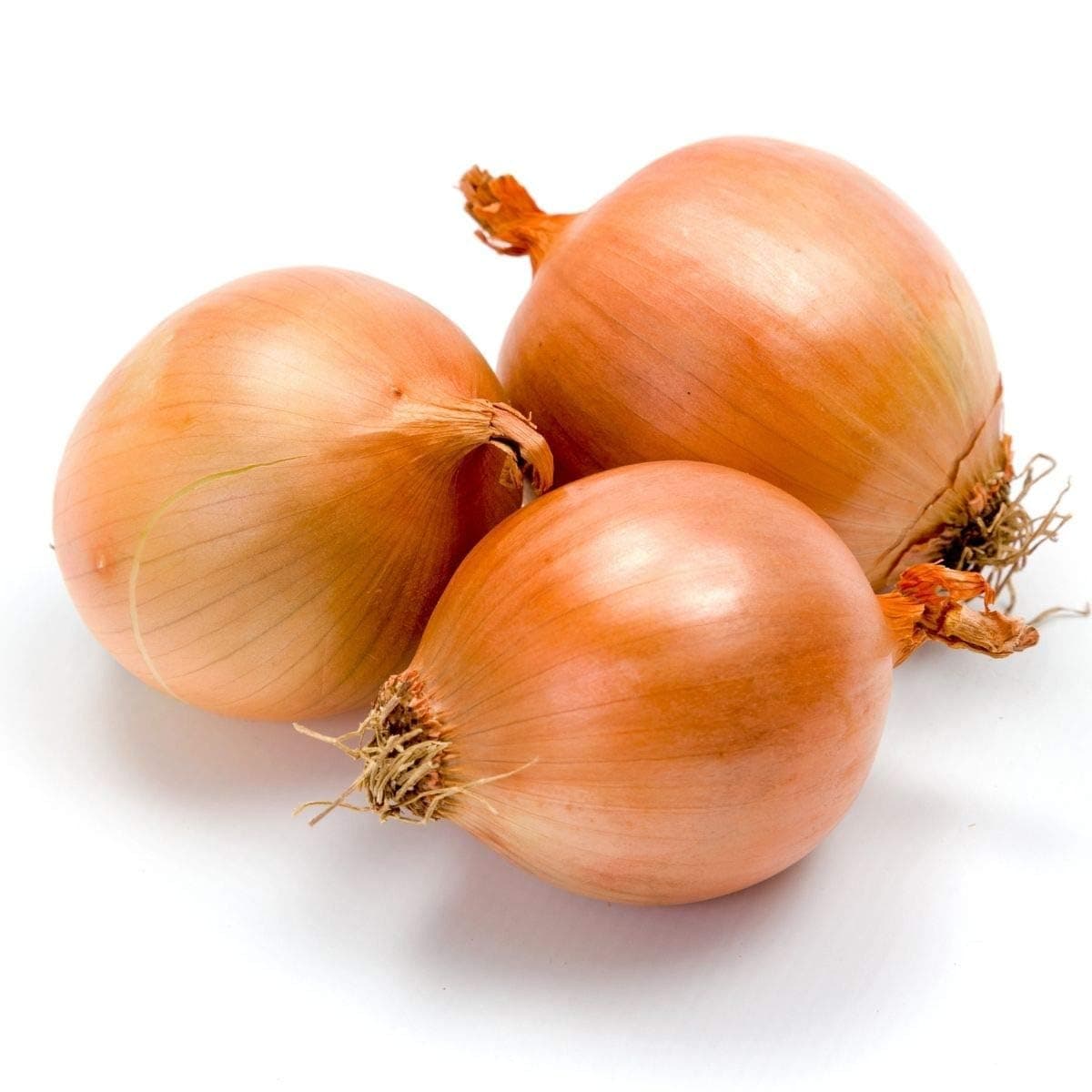 Fresh Brown Onion Local 1kg