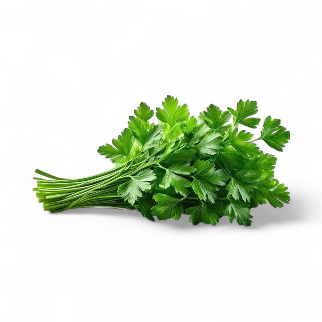 Fresh Parsley Leaves Bunch Local