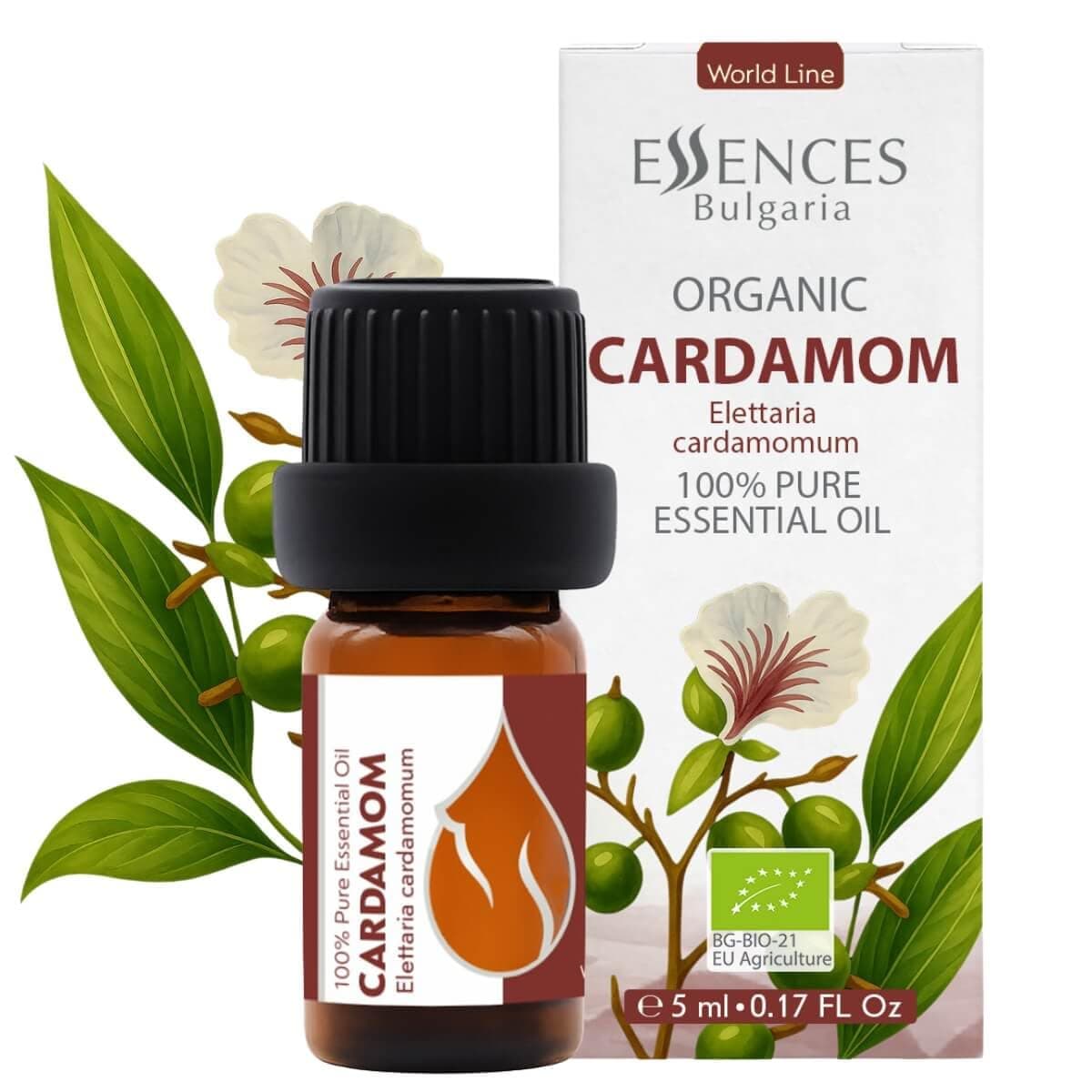Essences Bulgaria Cardamom Essential Oil 5ml (0.17 Fl Oz) | Elettaria cardamomum | 100% Pure, Natural, Undiluted | Aromatherapy, Cosmetics | Vegan, Non-GMO, Cruelty-Free