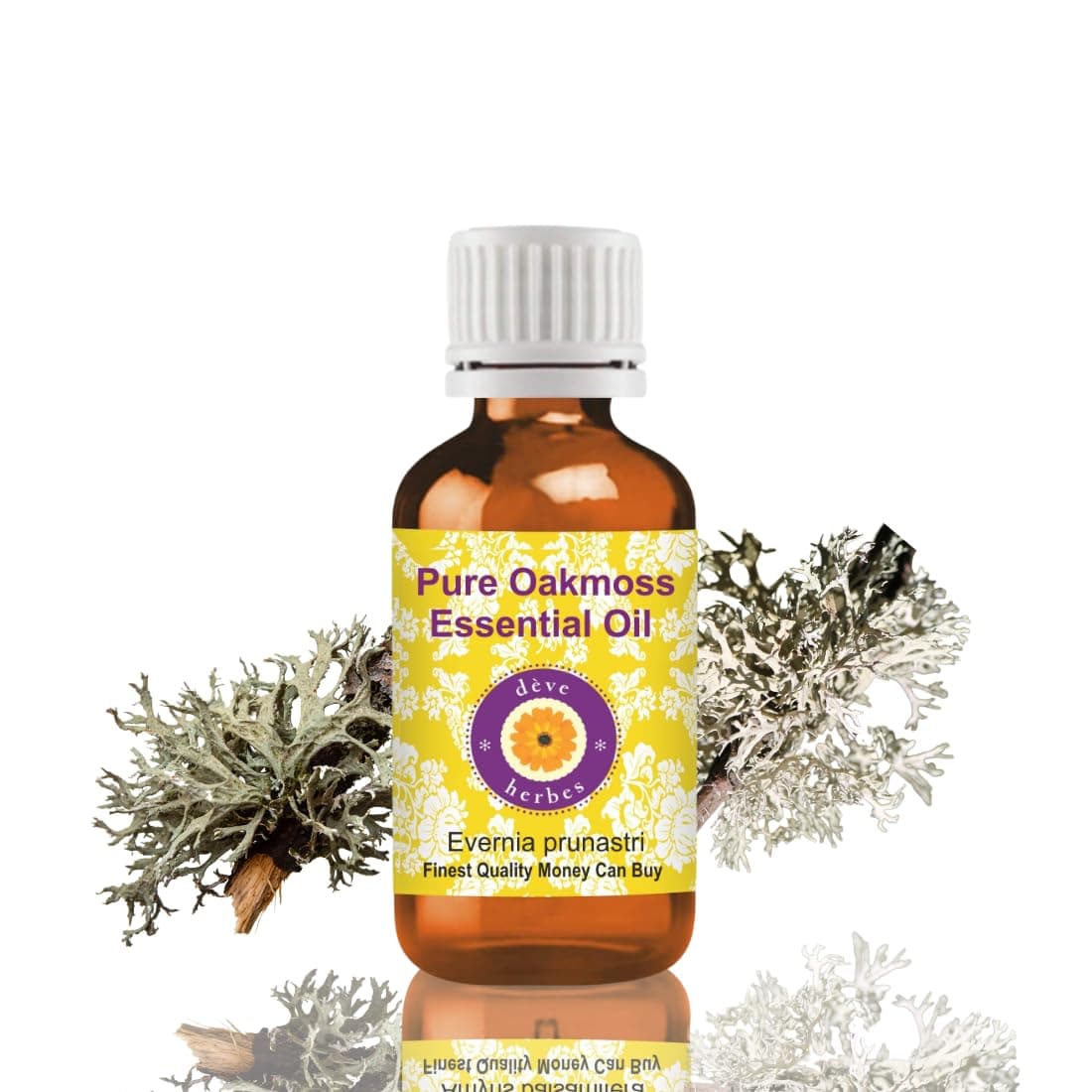 Deve Herbes Pure Oakmoss Essential Oil (Evernia prunastri) Steam Distilled 15ml (0.50 oz)