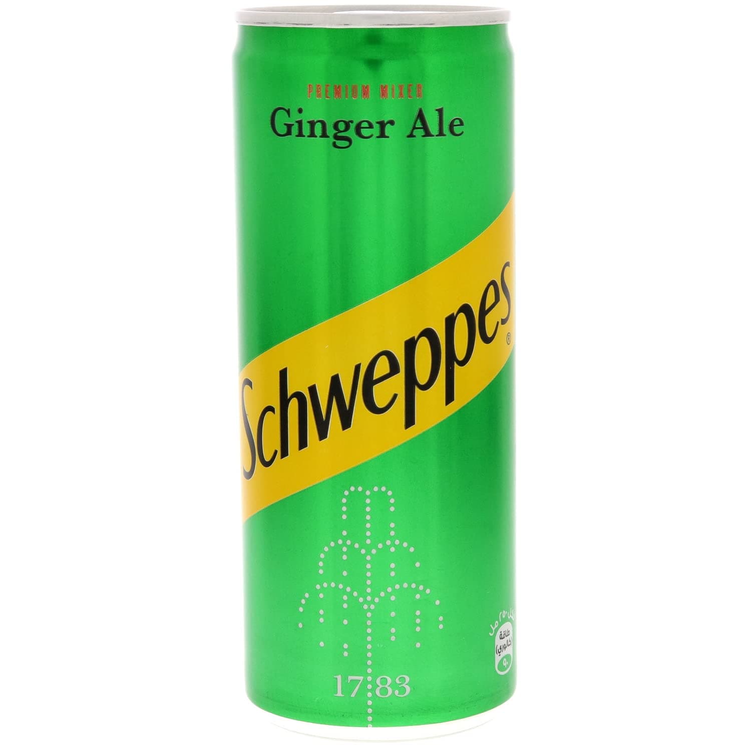 Schweppes Ginger Soft Drink 250ml