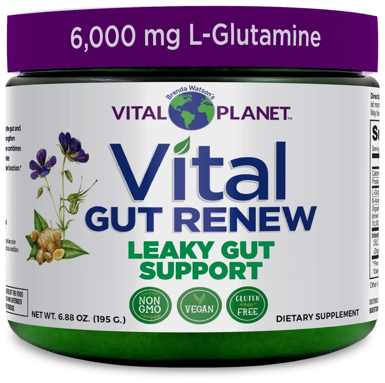 Vital Planet - Vital Gut Renew Powder Supplement Formulated with L-Glutamine, Ginger Root, DGL Licorice Root and Organic Aloe Vera to Assist with Intestinal Lining and Leaky Gut Repair, 6000mg 6.88 oz