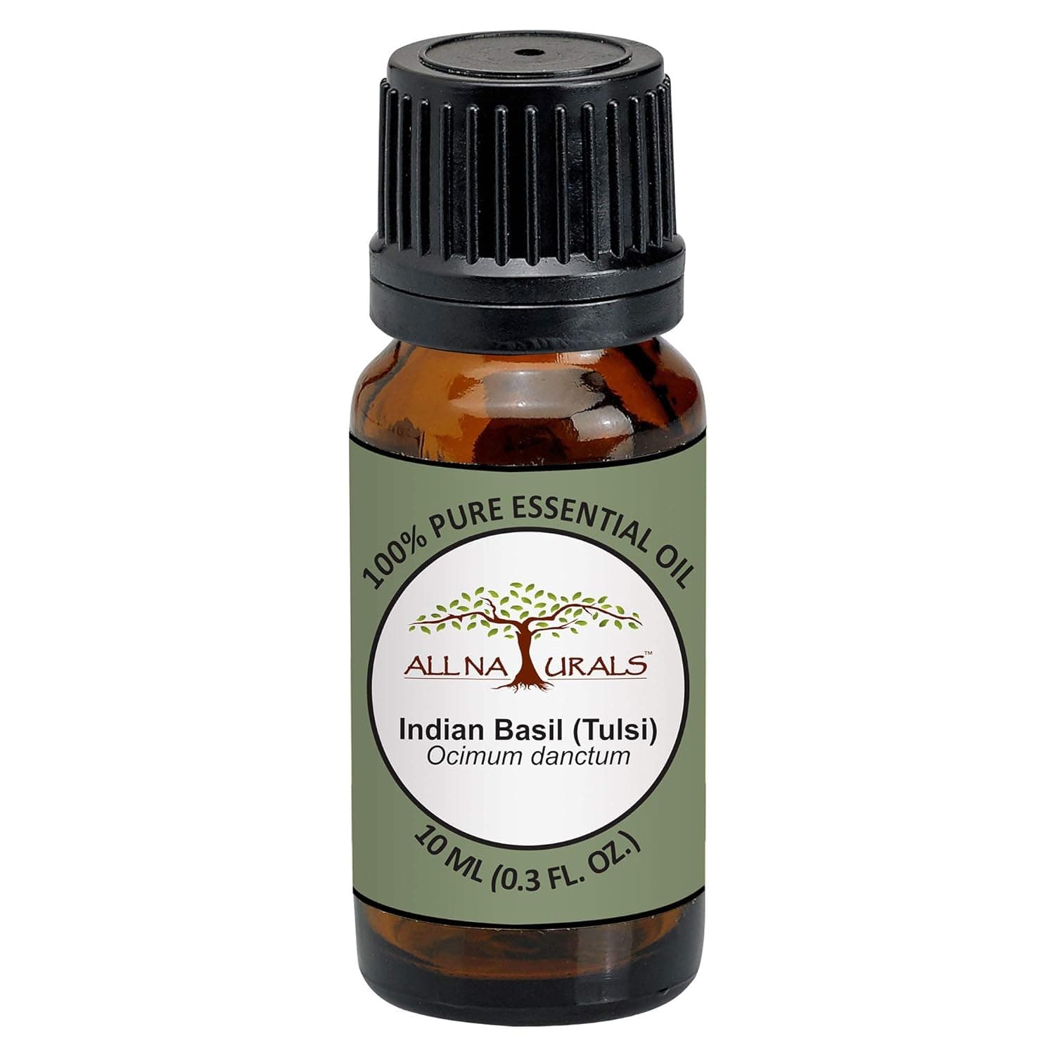 All Naturals Tulsi Essential Oil (Holy Basil) Spiritual Aroma,100% Pure - 15 ML