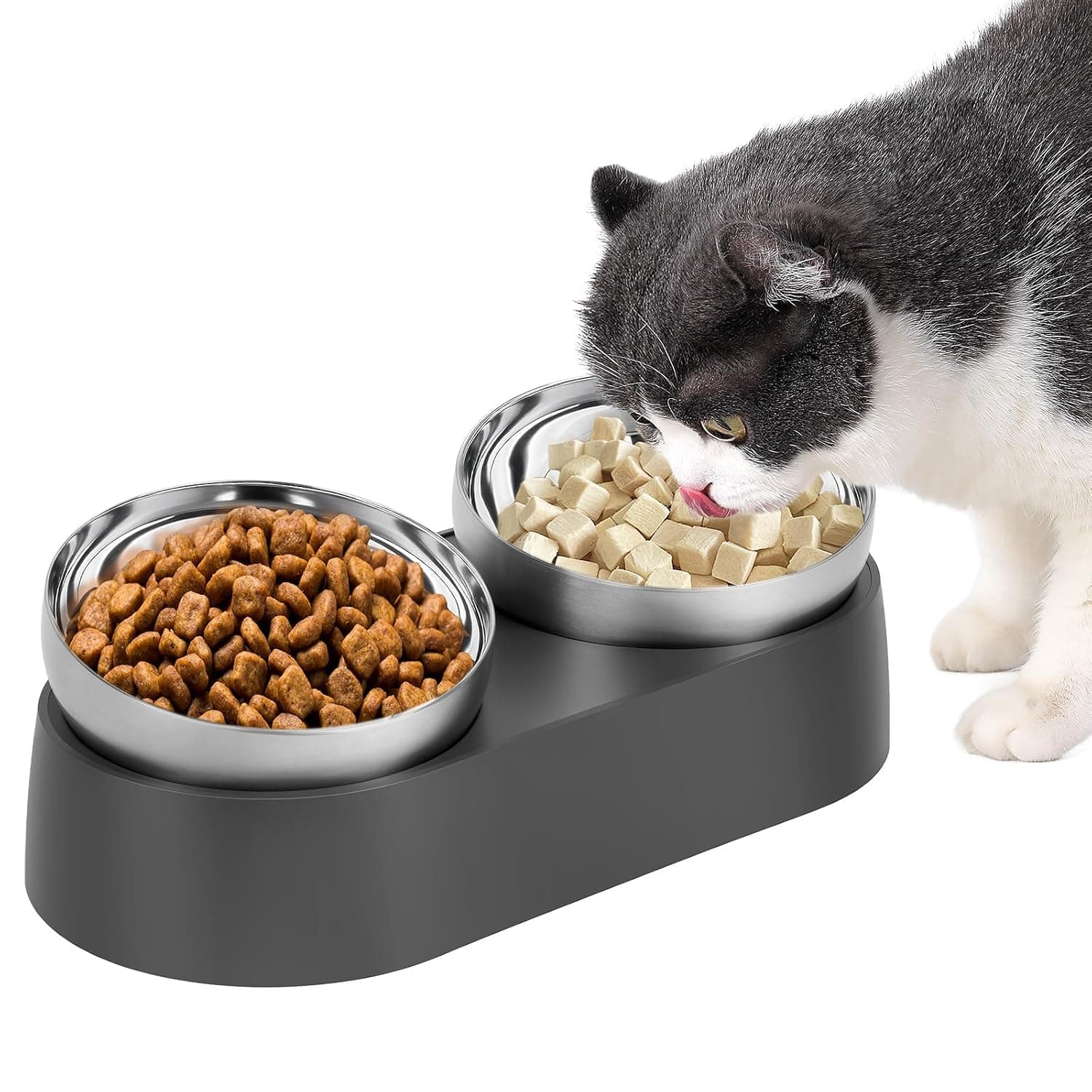 Raised Feeding Bowl, Elevated Cat Bowls with 2 Stainless Steel Bowls, Tilted Anti-Vomiting Raised Cat Food Bowls, Non-slip & Protect Pet's Spine for Cats and Small Dogs
