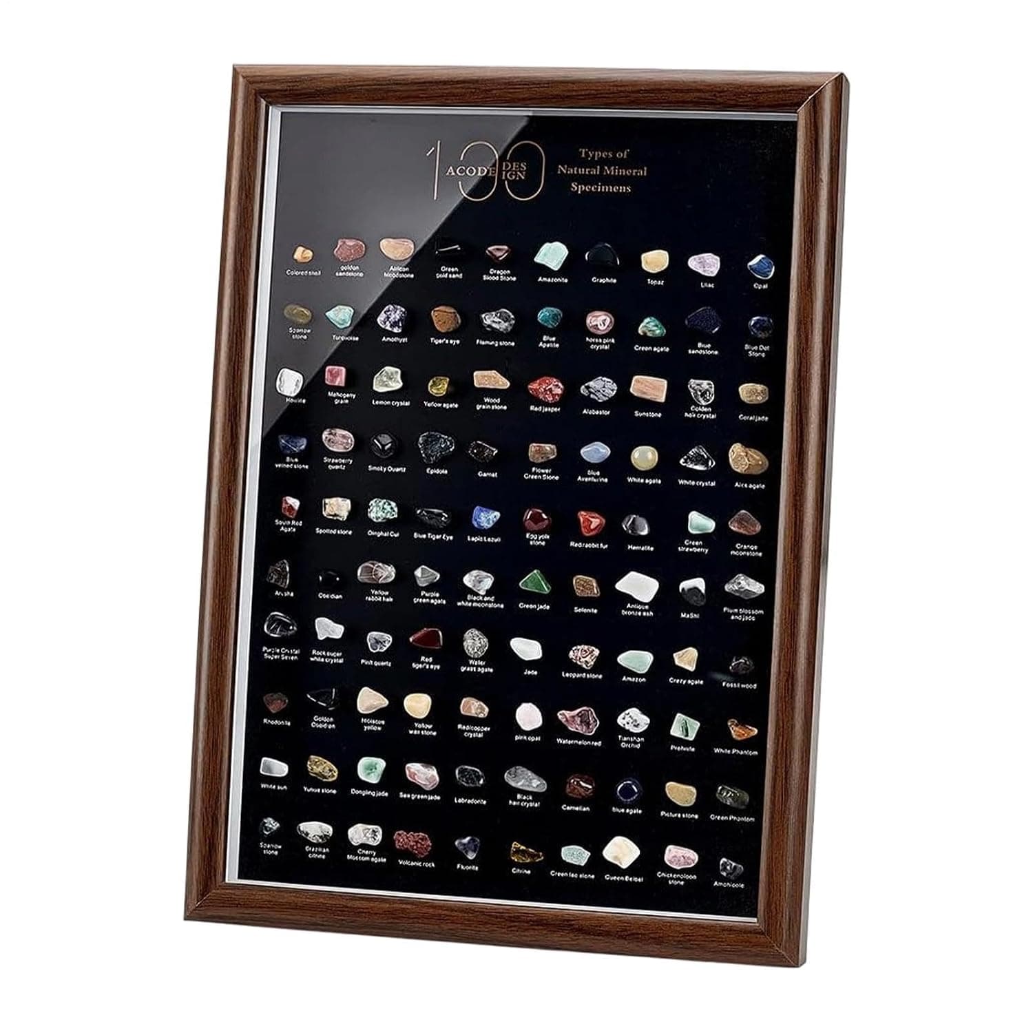 Rock Collection for Kids 100-Rock Exploration Display Decoration | Natural Minerals Collection with Case for Enthusiasts Collectors Science Teachers Beginners