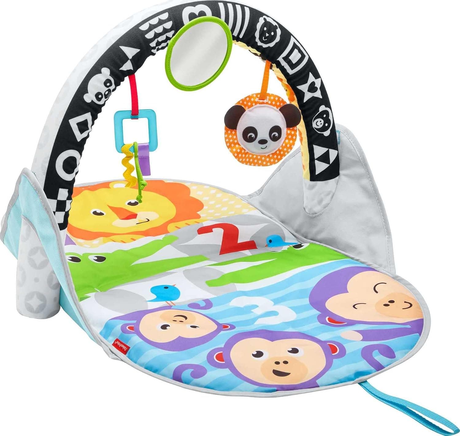 Fisher-Price Stow & Go Activity Gym, 2-in-1 Infant Gym with a Reversible Toy Arch FXC14