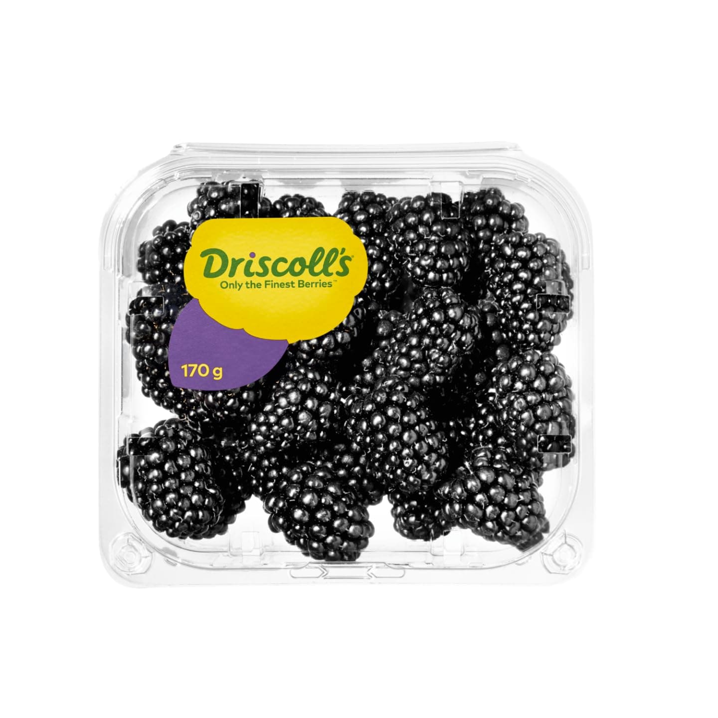 Fresh Blackberry Driscoll's Import 125g