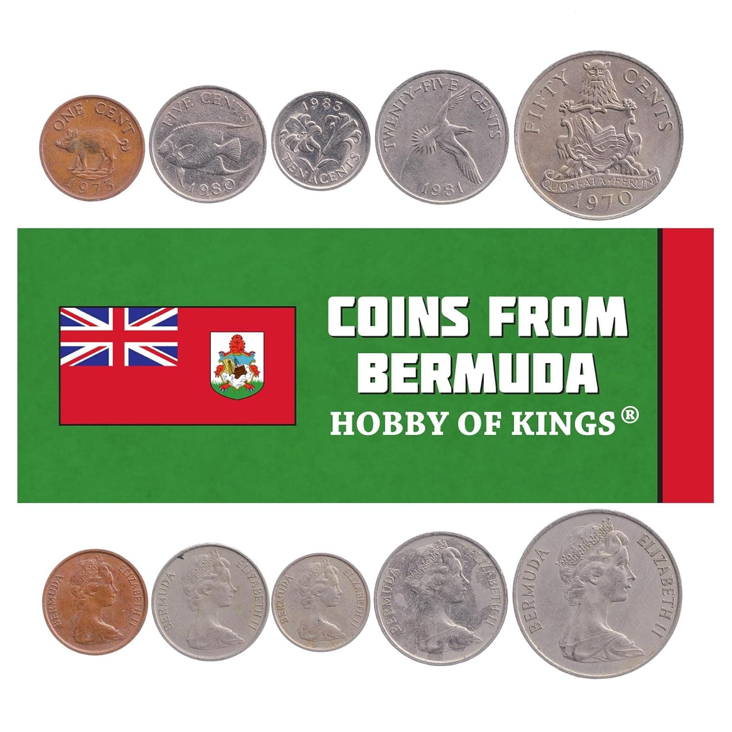 5 Coins from Bermuda | Bermudian Coin Set Collection 1 5 10 25 50 Cents | Circulated 1970-1985 | Bermuda Lily | Wild Boar | Queen Angelfish | White-Tailed Tropicbird