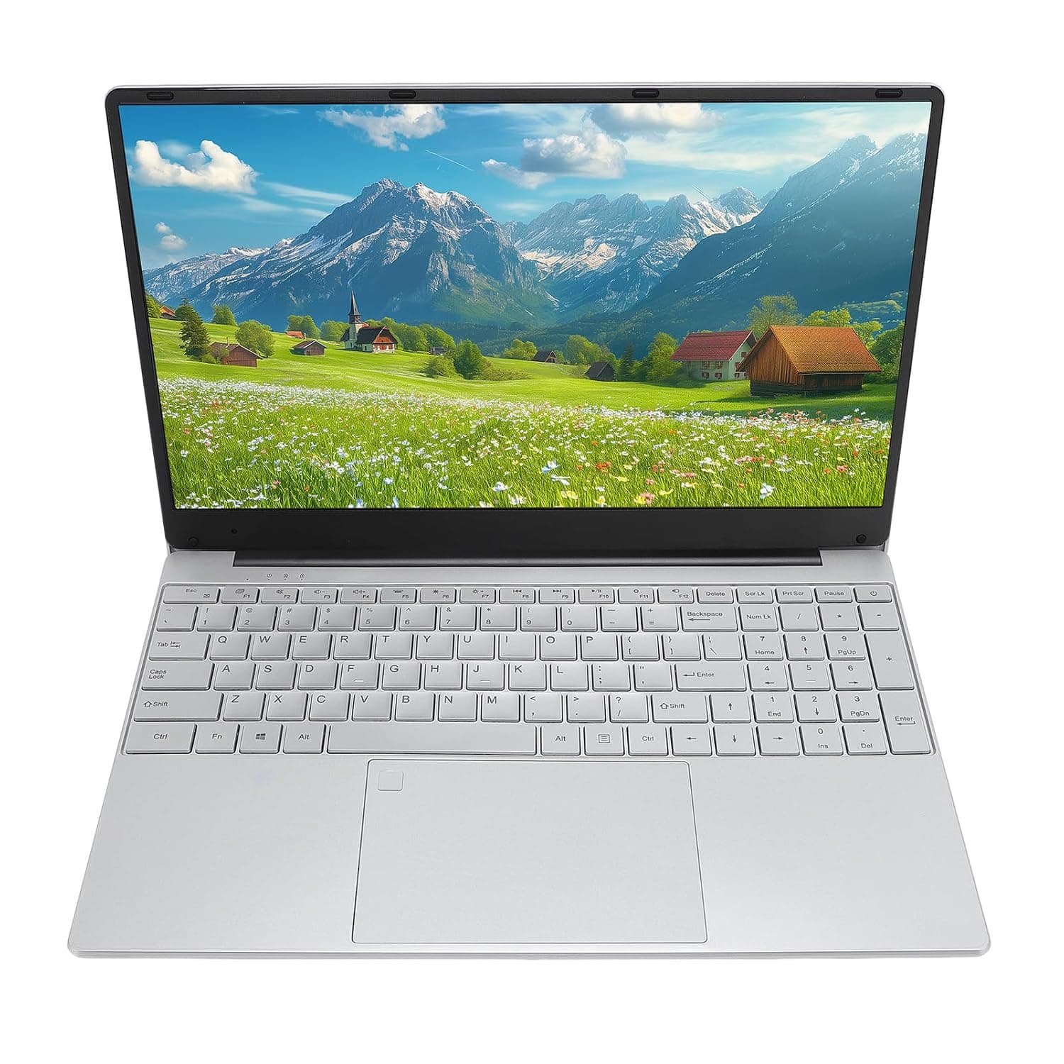 Domary 15.6 Inch IPS Laptop Computer Screen N5095A 8GB RAM 1TB SSD (Silver)