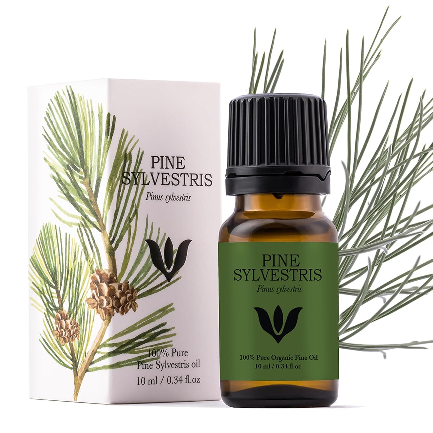 Sylvestre Pine Essential Oil | 100% Pure Pinus Sylvestris Pine Needles | Steam Distilled for Diffuser, Fresh Forest Fragrance, Cleaning and Seasonal Blends | Vegan - 10ml