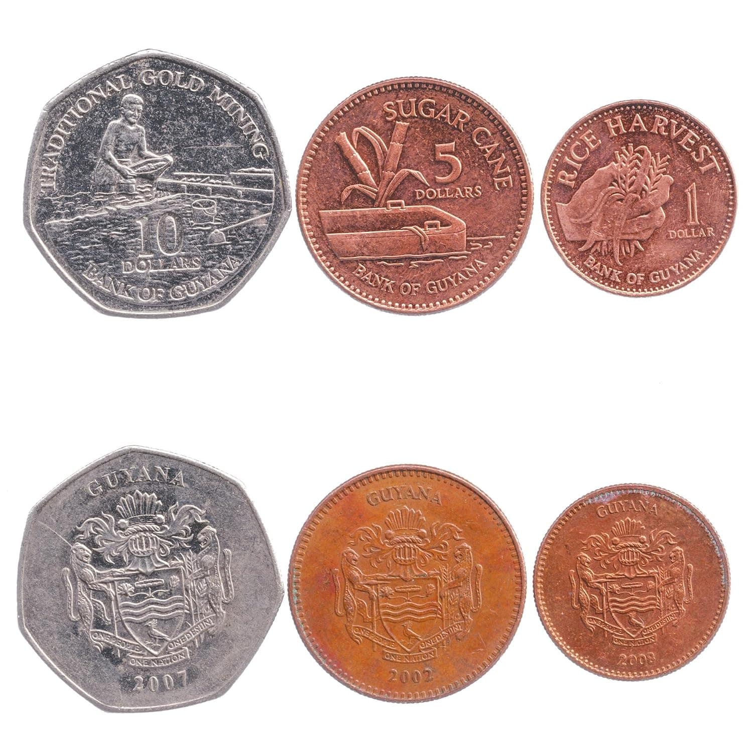 3 Coins from Guyana | Guyanese Coin Set Collection 1 5 10 Dollars | Circulated 1996-2019 | Sugar Cane