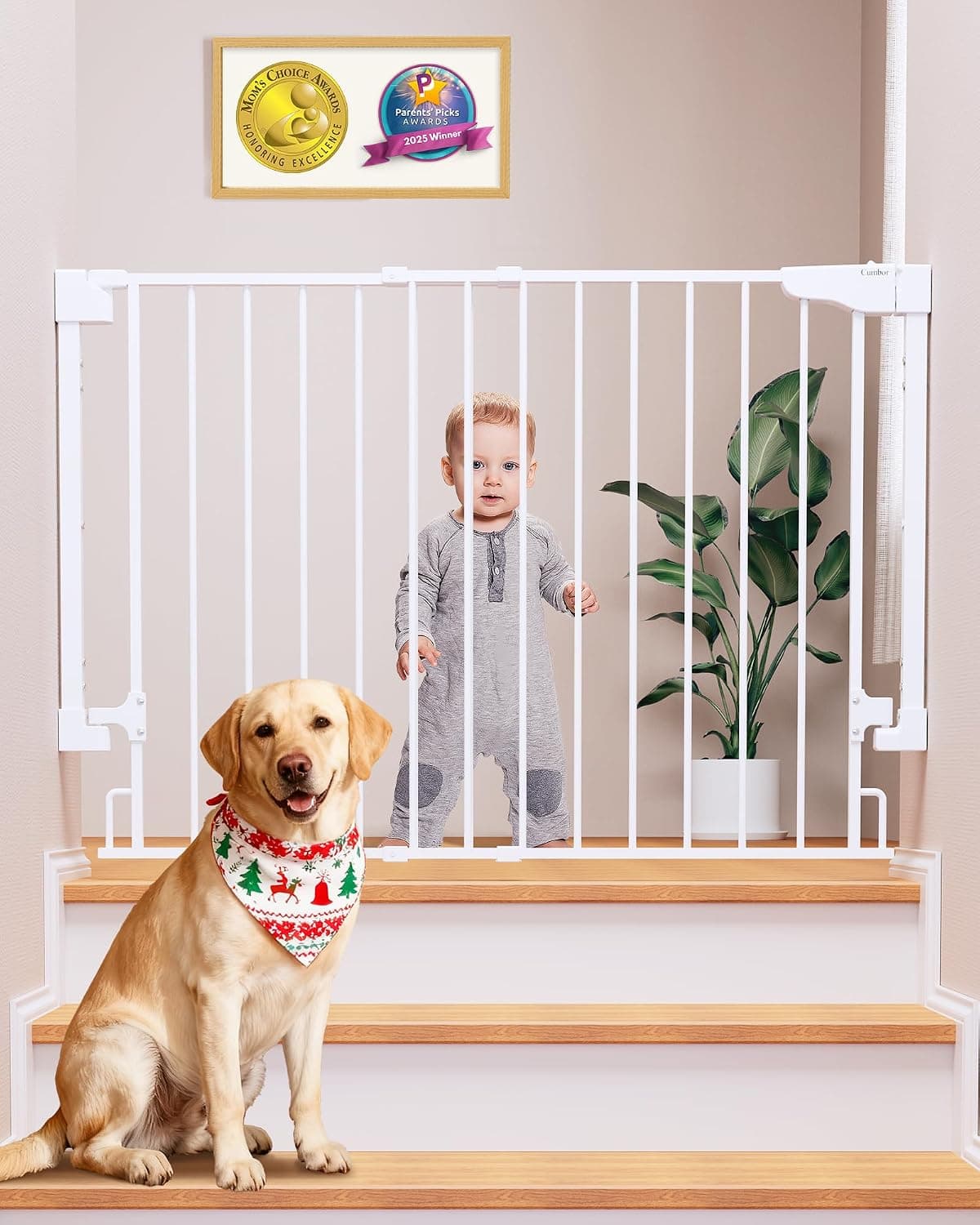 Cumbor 29.2-43" No Bottom Bar Baby Gate for Stairs, 2-in-1 Auto Close Dog Gate Indoor, Hardware Mounted Pet Gate for Doorways with Large Walk Thru Door, Child-Proof Safety Gate for Kids (White) | Hardware Mounted (Drill Required), Auto Close Pet & Toddler Proof with Wide Walk Thru Door, Top & Bottom of Stairways(Black)
