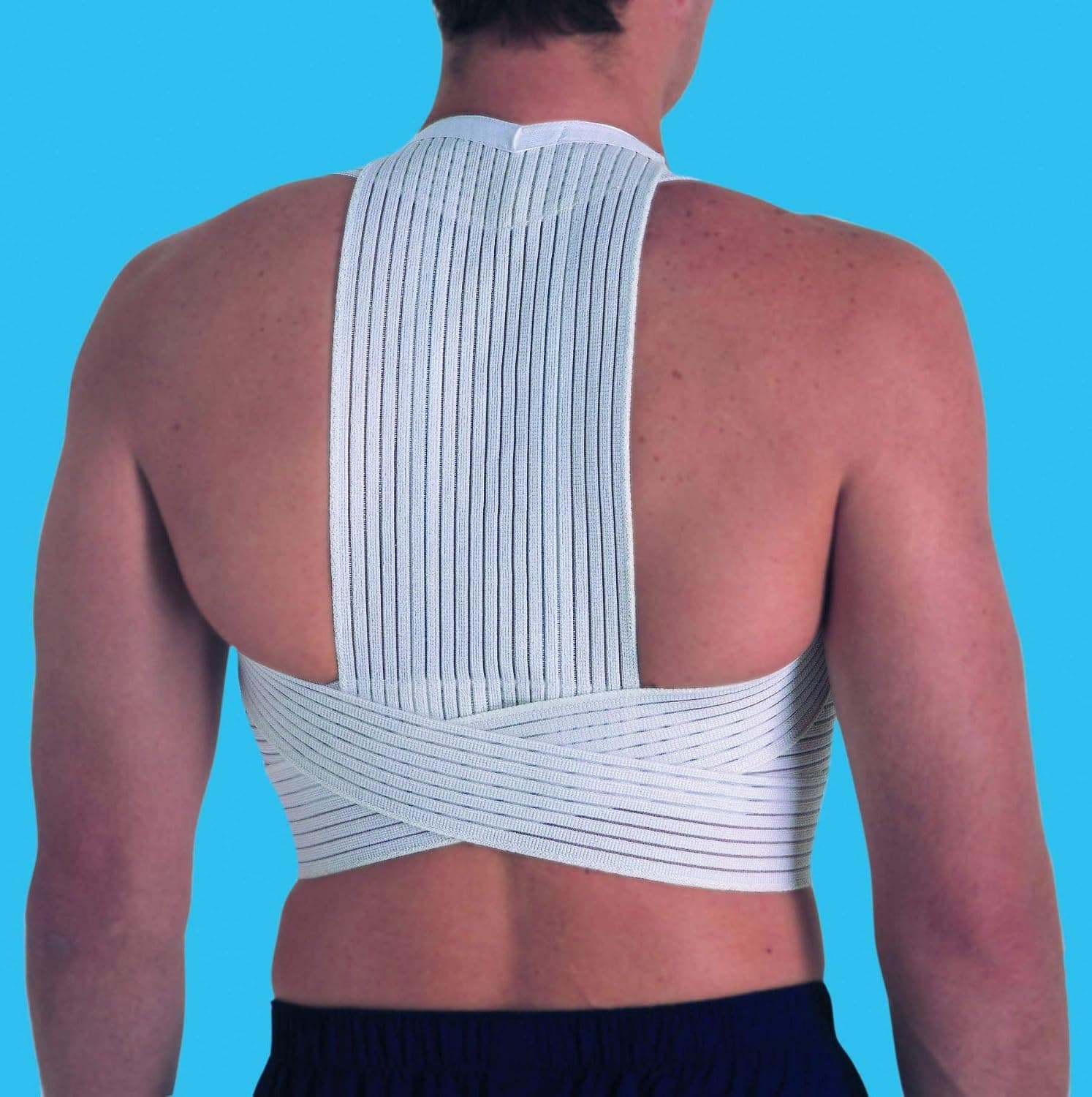 Patterson Rib Support Vulkan