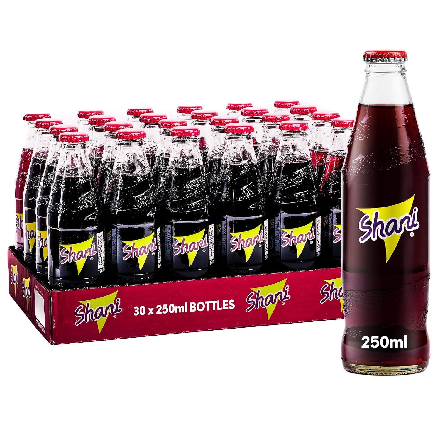 Shani Carbonated Soft Drink, 24x250 ml