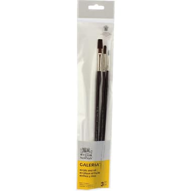 Winsor & Newton Galeria Long Handle Artist Brush
Soft Synthetic Hair, Flat/Round/Filbert, for Acrylic and Oil, Round: 2;Filbert: 4;Flat: 8, 3 Pieces