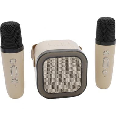 Double Microphone with Bluetooh Speaker Musical Instrument
3 Years and Above