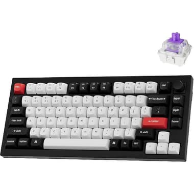 Keychron Q1 HE 75% Wireless Magnetic Switch Gaming Keyboard
Bluetooth/Wireless (2.4 GHz RF), for Laptop/Desktop Computer/CPU Windows/macOS, Black/White