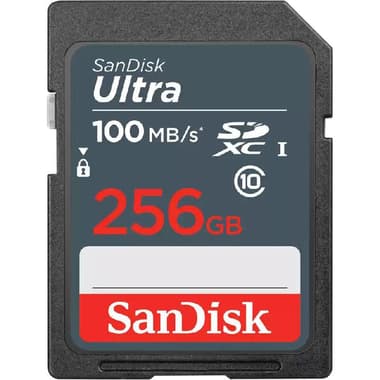 SanDisk Ultra SDXC Card
256 GB, Class 10: Max 100 Mbps Speed Performance