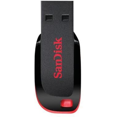 SanDisk Cruzer Blade USB Flash Drive
64 GB, Black