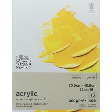 Winsor & Newton Galeria Acrylic Painting Pad
Canvas Textured, 300 gsm, White, 16 X 12 in, 15 Sheets