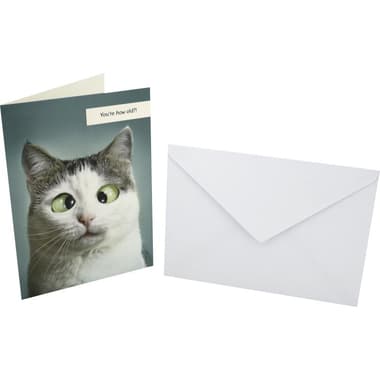 Designer Greetings Card & Envelope
Mind Officially Blown. Happy Birthday, Assorted Color