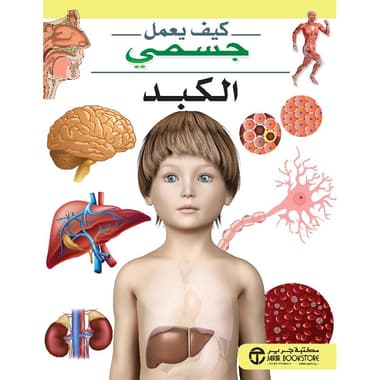 الكبد سلسلة كيف يعمل جسمي
false