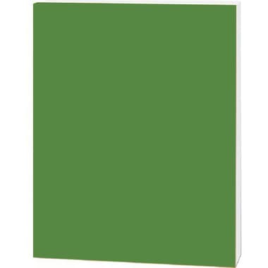 Roco Foam Board
Green/White Core, 100.00 cm ( 3.28 ft )X 70.00 cm ( 2.30 ft )