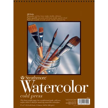 Strathmore Watercolor Pad
Cold Press, 300 gsm, White, 23 X 30.5 cm, 12 Sheets