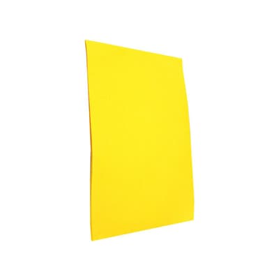 Felt - A4 (10 Pieces)
Craft Sheet, Yellow