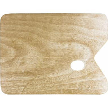 Phoenix Palette Painting Accessory
for Color Paints,